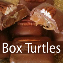store-category-boxturtles.jpg